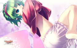 Rule 34 | 10s, 1girl, 2010, :o, agarest senki (series), agarest senki zero, ahoge, apri (agarest senki zero), barefoot, bloomers, blue eyes, company name, copyright name, dutch angle, flat chest, frills, game cg, green hair, hairband, highres, hirano katsuyuki, kneeling, no bra, official art, pink background, pointy ears, short hair, sitting, solo, underwear, undressing, wariza, white bloomers, wings