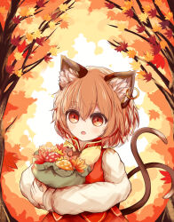 Rule 34 | 1girl, :o, animal ear fluff, animal ear piercing, animal ears, autumn leaves, bag, blush, bow, bowtie, brown eyes, brown hair, cat ears, cat tail, chen, commentary request, dress, earrings, hair between eyes, highres, holding, holding bag, jewelry, leaf, long sleeves, maple leaf, multiple tails, mushroom, nekomata, no headwear, open mouth, outdoors, puffy long sleeves, puffy sleeves, red dress, ro.ro, short hair, single earring, solo, tail, touhou, two tails, upper body, yellow bow, yellow bowtie