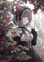 Rule 34 | 1girl, black skirt, bob cut, bow, bowtie, breasts, buttons, center frills, commentary request, corset, cowboy shot, cross-laced clothes, fence, food, frills, fruit, grey hair, hair bow, hair ornament, hands up, headdress, highres, holding, holding food, holding fruit, leaf, long sleeves, looking at viewer, looking down, medium breasts, missile228, nail polish, open mouth, original, outdoors, pink eyes, pink nails, plant, shirt, short hair, skirt, solo, tongue, tongue out, underbust, white shirt