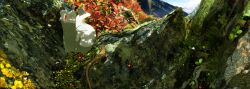 Rule 34 | animal, bug, butterfly, character request, dragon, dutch angle, field, flower, flower field, highres, horns, insect, lizard, mountain, no humans, realistic, red eyes, scenery, siirakannu, tree, tree shade