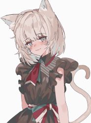 Rule 34 | 1girl, animal ears, aogisa, bad id, bad twitter id, blonde hair, blue eyes, blush, brown dress, cat ears, cat tail, character request, dress, highres, looking at viewer, medium hair, simple background, smile, solo, tail, white background