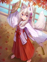 Rule 34 | 1girl, absurdres, animal ear fluff, animal ears, arm up, autumn leaves, barefoot, blush, closed mouth, commentary request, day, flower, folded fan, folding fan, fox ears, fox girl, fox tail, full body, hair between eyes, hair flower, hair ornament, hakama, hakama skirt, hand fan, highres, holding, holding fan, iroha (iroha matsurika), japanese clothes, kimono, leaf, long hair, long sleeves, looking at viewer, maple leaf, miko, original, outdoors, purple eyes, purple flower, railing, red hakama, silver hair, skirt, smile, solo, standing, tail, very long hair, white kimono, wide sleeves