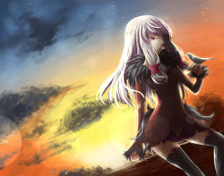 Rule 34 | 1girl, agria (tales), bird, cloud, grey hair, red eyes, solo, star (symbol), sunset, tales of (series), tales of xillia, thighhighs