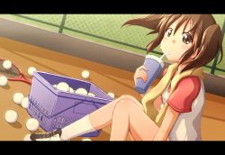 Rule 34 | 1girl, ball, brown eyes, brown hair, drink, drinking, drinking straw, highres, letterboxed, racket, sawanatsu kotone, shoes, sitting, sneakers, softenni, sofuteni, solo, sportswear, sweat, takamine (smdx), takamine tsukumo, tennis ball, tennis racket, tennis uniform, towel, twintails