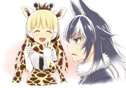 Rule 34 | 10s, 2girls, :d, ^ ^, animal ears, animal print, black hair, black neckwear, blazer, blonde hair, blue eyes, brown hair, closed eyes, commentary request, elbow gloves, fang, fur collar, giraffe ears, giraffe horns, giraffe print, gloves, gradient hair, grey wolf (kemono friends), half-closed eyes, hands up, holding, holding jewelry, holding ring, horns, jacket, jewelry, kemono friends, long hair, multicolored hair, multiple girls, necktie, nervous sweating, open mouth, outstretched hand, parted lips, plaid neckwear, print gloves, print neckwear, print skirt, reticulated giraffe (kemono friends), ring, scarf, shirt, short sleeves, sidelocks, skirt, smile, sparkle, sweat, turn pale, two-tone hair, upper body, v-shaped eyebrows, wedding band, white hair, white shirt, wolf ears, wolf girl, zawashu, |d
