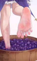 Rule 34 | 1girl, barefoot, feet, food, fruit, grape stomping, grapes, highres, qizhu, soles, toes