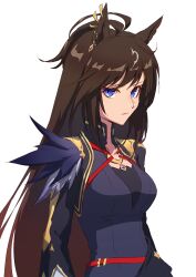 Rule 34 | 1girl, absurdres, animal ears, antenna hair, arms at sides, black jacket, blue dress, blue eyes, breasts, brown hair, closed mouth, dress, duramente (umamusume), expressionless, feathers, highres, horse ears, jacket, long hair, long sleeves, looking at viewer, simple background, small breasts, solo, umamusume, upper body, very long hair, watou, white background