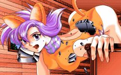 Rule 34 | animal ears, armor, artist request, blue sky, broken armor, cat ears, cat tail, fang, fighting game, hercequary, holding, house, leotard, miao (hercequary), neckerchief, open mouth, orange leotard, orange theme, pc-98 (style), pc98, purple eyes, purple hair, shattered, sky, solo, swimsuit, tail, tree, wall, window