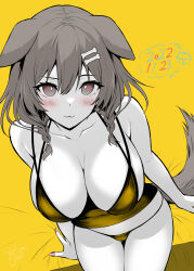 Rule 34 | 1girl, :3, alternate costume, alto seneka, animal ears, bikini, blush, bone hair ornament, braid, breasts, cleavage, closed mouth, collarbone, commentary, cowboy shot, dated, dog ears, dog tail, from above, greyscale with colored background, hair between eyes, hair ornament, highres, hololive, inugami korone, large breasts, lips, looking at viewer, medium hair, nail polish, on bed, partially colored, pink nails, raised eyebrow, red eyes, signature, simple background, sitting, smile, smug, solo, string bikini, swimsuit, tail, twin braids, virtual youtuber, yellow background, yellow bikini