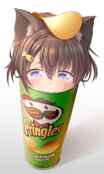 Rule 34 | 1girl, :3, animal ears, blue eyes, brown hair, cat ears, chips (food), denchisoft, fish hair ornament, food, food on head, hair ornament, highres, object on head, original, personification, photo-referenced, potato chips, pringles, sad, short hair, simple background, stuck, tears