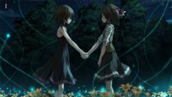 Rule 34 | 2girls, ahoge, amatsutsumi, bare arms, black dress, black skirt, blurry, blurry foreground, blush, bow, brown hair, brown vest, closed mouth, dress, eye contact, field, flower, flower field, frilled bow, frills, frown, game cg, hair between eyes, hair bow, holding hands, long hair, looking at another, medium dress, medium skirt, minazuki hotaru (amatsutsumi), multiple girls, night, nightgown, outdoors, profile, red bow, skirt, sky, sleeveless, sleeveless dress, star (sky), starry sky, tsukimori hiro, vest, yellow flower