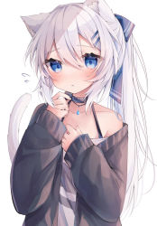 Rule 34 | 1girl, animal ears, bare shoulders, black jacket, blue bow, blue eyes, bow, cat ears, cat girl, cat tail, collarbone, commentary request, flying sweatdrops, hair between eyes, hair bow, hair ornament, hairclip, hands up, highres, jacket, long hair, long sleeves, off-shoulder shirt, off shoulder, open clothes, open jacket, original, parted lips, ponytail, puffy long sleeves, puffy sleeves, ringouulu, shirt, simple background, sleeves past wrists, solo, tail, tail raised, twitter username, very long hair, white background, white hair