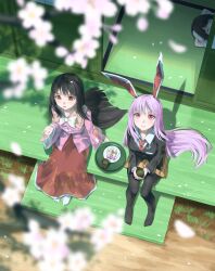 Rule 34 | 3girls, animal ears, autumn leaves, bamboo print, black hair, black jacket, black pantyhose, blurry, blush, bow, bowtie, branch, breasts, brown eyes, buttons, cherry blossoms, closed eyes, closed mouth, cloud print, collared jacket, collared shirt, commentary, crescent, crescent pin, cup, dango, english commentary, floor, floral print, flower, food, frills, grass, green tea, hair between eyes, hand up, highres, holding, holding cup, houraisan kaguya, inaba tewi, jacket, leaf print, long hair, long sleeves, looking up, medium breasts, moon print, multiple girls, necktie, no shoes, on floor, open mouth, orange flower, orange skirt, otomeza ryuseigun, pantyhose, petals, pillow, pink shirt, plate, purple hair, rabbit ears, red eyes, red necktie, red skirt, reisen udongein inaba, shadow, shirt, short hair, sidelocks, skirt, sleeping, smile, socks, tea, touhou, tray, wagashi, white bow, white bowtie, white flower, white shirt, white socks, wide sleeves, wing collar, wooden floor, yunomi