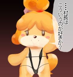 Rule 34 | 1girl, animal crossing, artist request, blonde hair, blush, closed eyes, dog, female focus, furry, furry female, gradient background, isabelle (animal crossing), japanese text, long hair, nintendo, ponytail, shizue, smile, solo, swimsuit, translation request