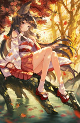 Rule 34 | 1girl, animal ears, autumn, autumn leaves, black hair, blunt bangs, branch, brown eyes, clenched hand, commentary request, corset, detached sleeves, fox ears, hair blowing, hair ornament, hand on own chest, highres, japanese clothes, long hair, long sleeves, looking at viewer, miko, original, outdoors, platform footwear, pleated skirt, red footwear, red skirt, ribbon-trimmed sleeves, ribbon trim, rope, sandals, sibyl, sidelocks, sitting, skirt, socks, solo, thick eyebrows, tree, very long hair, water, white socks, wide sleeves