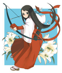 Rule 34 | 1girl, archery, arrow (projectile), black eyes, black hair, blue background, bow (weapon), easter lily, floral background, flower, full body, hakama, hakama skirt, japanese clothes, kyuudou, lily (flower), long hair, low-tied long hair, marksman, miko, original, red hakama, skirt, solo, tabi, weapon, yuu (uminashiken)