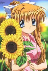 Rule 34 | 00s, 1girl, air (visual novel), flower, highres, kamio misuzu, scan, solo, sunflower