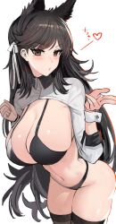 Rule 34 | 1girl, absurdres, animal ears, atago (azur lane), atago (stunning speedster) (azur lane), azur lane, bikini, black bikini, black hair, black thighhighs, blush, breasts, brown hair, collared shirt, commentary request, hair ornament, hair ribbon, heart, highres, kaki z3, large breasts, leaning forward, legs together, lips, long hair, long sleeves, looking at viewer, mole, mole under eye, navel, ribbon, shirt, simple background, solo, standing, stomach, swimsuit, thighhighs, thighs, white background, white ribbon, white shirt