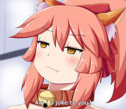 Rule 34 | 1girl, animal ear fluff, animal ears, belt collar, blurry, blurry background, bow, bright pupils, collar, commentary, depth of field, english commentary, english text, fake screenshot, fang, fang out, fate/grand order, fate (series), fox ears, hair bow, highres, keita naruzawa, meme, parody, pink hair, ponytail, portrait, red bow, solo, subtitled, tamamo (fate), tamamo cat (fate), yellow eyes