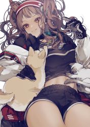 Rule 34 | 1girl, :3, angelina (arknights), animal ear fluff, animal ears, arknights, black gloves, black shirt, black shorts, breasts, brown eyes, brown hair, cat, cat teaser, closed mouth, collar, fox ears, gloves, hairband, headgear, highres, infection monitor (arknights), jacket, long hair, lying, medium breasts, midriff, navel, on back, open clothes, open jacket, petting, playing, shirt, short shorts, shorts, simple background, smile, solo, twintails, two-tone hairband, white background, white jacket, yuuki nato
