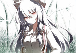Rule 34 | 1girl, bow, closed mouth, collared shirt, fujiwara no mokou, grey hair, hair bow, head tilt, highres, long hair, long sleeves, looking at viewer, qqqrinkappp, red bow, red eyes, shirt, smile, solo, suspenders, touhou, traditional media, two-tone bow, upper body, very long hair, white bow, white shirt