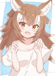 Rule 34 | 1girl, :d, animal ear fluff, animal ears, blue background, blush, breasts, brown eyes, brown hair, cleavage, collarbone, commentary request, fang, gradient hair, hands up, highres, japanese wolf (kemono friends), kemono friends, long hair, looking at viewer, multicolored hair, off shoulder, open mouth, shirt, short sleeves, small breasts, smile, solo, sunanuko (ramuneko), two-tone background, white background, white hair, white shirt, wide sleeves, wolf ears
