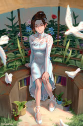 Rule 34 | 1girl, arm support, artist name, asymmetrical hair, bare legs, bird, blue flower, breasts, brown hair, closed mouth, dove, dress, flower, full body, grass, hair ornament, hair tie, hairclip, hand on own knee, highres, indoors, long sleeves, looking at viewer, original, parted bangs, pink flower, plant, potted plant, purple flower, red flower, red rose, rose, shade, shoes, short hair, sitting, smile, solo, white dress, white footwear, whoareuu, yellow eyes