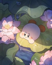 Rule 34 | :o, blue eyes, blush, blush stickers, commentary request, flower, harukui, highres, kirby, kirby (series), leaf, lotus, lotus leaf, lotus pod, lying, nintendo, no humans, on stomach, open mouth, outdoors, pink flower, plant, solo, star (symbol), water, water drop