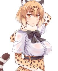 Rule 34 | 10s, 1girl, amane hasuhito, animal ears, arm behind head, bad id, bad pixiv id, belt, black bow, black bowtie, blonde hair, blush, bow, bowtie, center frills, commentary, elbow gloves, frills, fur collar, gloves, high-waist skirt, jaguar (kemono friends), jaguar ears, jaguar print, jaguar tail, kemono friends, looking at viewer, parted lips, print gloves, print skirt, see-through, short hair, simple background, skirt, solo, tail, upper body, wet, wet clothes, white background, yellow eyes