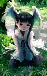 Rule 34 | 1girl, :d, absurdres, bird wings, black-headed ibis (kemono friends), black gloves, black hair, black pantyhose, braid, brown eyes, commentary, day, frilled sleeves, frills, fur collar, gloves, grass, head wings, highres, kemono friends, long hair, long sleeves, looking at viewer, nature, no shoes, open mouth, outdoors, pantyhose, pleated sleeves, single sidelock, sitting, smile, solo, spread wings, tree, twin braids, wariza, water, welt (kinsei koutenkyoku), wide sleeves, wings
