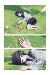 Rule 34 | 1girl, animal, animal ears, barefoot, black hair, black skirt, blunt bangs, border, brown cat, cat, cat ears, cat girl, cat tail, closed eyes, commentary, day, expressionless, extra ears, falling petals, from above, full body, grass, highres, long sleeves, lying, on grass, on side, original, outdoors, outside border, petals, sailor collar, sakiika0513, school uniform, sequential, serafuku, shirt, short hair, skirt, sleeping, tail, white border, white shirt