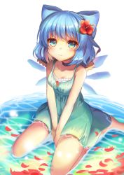 Rule 34 | 1girl, aqua eyes, bad id, bad twitter id, blue hair, blush, choker, cirno, collarbone, dress, flower, hair flower, hair ornament, ice, ice wings, looking at viewer, miya (tokumei), partially submerged, petals, short hair, solo, touhou, v arms, wings