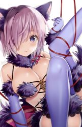 Rule 34 | 1girl, animal ears, bare shoulders, blush, breasts, cleavage, elbow gloves, fate/grand order, fate (series), fur-trimmed gloves, fur collar, fur trim, gloves, hair over one eye, halloween costume, highres, large breasts, light purple hair, looking at viewer, mash kyrielight, mash kyrielight (dangerous beast), navel, o-ring, official alternate costume, open mouth, purple eyes, purple gloves, purple thighhighs, revealing clothes, seiru (prairie), short hair, simple background, solo, tail, thighhighs, white background, wolf ears, wolf girl, wolf tail