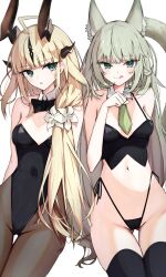 Rule 34 | 2girls, absurdres, animal ear fluff, animal ears, arknights, bare shoulders, black bow, black leotard, blonde hair, blush, bow, breasts, cleavage, closed mouth, collarbone, commentary request, covered navel, cowboy shot, detached collar, dragon girl, dragon horns, fishnets, flower, green eyes, green hair, green necktie, hair flower, hair ornament, harmonie (arknights), highleg, highres, horns, leotard, light blush, light smile, long hair, looking at viewer, medium breasts, multiple girls, navel, necktie, pantyhose, parted lips, playboy bunny, reed (arknights), sidelocks, simple background, smile, strapless, thighhighs, tongue, tongue out, touko (toko12 tooko), very long hair, white background
