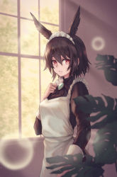 Rule 34 | 1girl, absurdres, animal ears, apron, black dress, black hair, black ribbon, breasts, bright pupils, brooch, commentary request, cowboy shot, dress, fate/grand order, fate (series), frills, hair between eyes, hand on own chest, highres, indoors, jewelry, light particles, long sleeves, looking at viewer, maid, maid headdress, medium breasts, neck ribbon, ortlinde (fate), ortlinde (valkyrie style) (fate), parted lips, plant, red eyes, ribbon, short hair, solo, valkyrie (fate), white apron, window, yasu (segawahiroyasu)