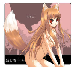 Rule 34 | 00s, akino sora, animal ears, brown hair, fang, holo, long hair, nude, red eyes, solo, spice and wolf, tail, wolf ears, wolf tail
