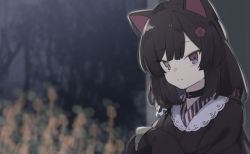 Rule 34 | 1girl, animal ears, black collar, black hair, black kimono, blurry, blurry background, brown eyes, closed mouth, collar, commentary request, depth of field, dog ears, dog hair ornament, flower, hair flower, hair ornament, heterochromia, inui toko, japanese clothes, kimono, long hair, long sleeves, looking at viewer, low twintails, natsuki teru, nijisanji, red flower, sleeves past fingers, sleeves past wrists, solo, twintails, upper body, virtual youtuber
