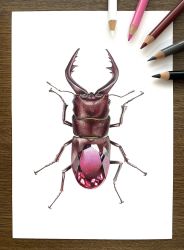 Rule 34 | abe yuichiro, animal focus, art tools in frame, beetle, bug, colored pencil (medium), commentary request, gem, highres, insect, original, photo (medium), red gemstone, shadow, simple background, stag beetle, traditional media, white background