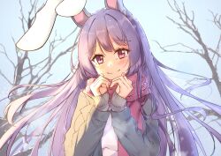 Rule 34 | 1girl, absurdres, adapted costume, animal ears, bare tree, blush, branch, closed mouth, diving penguin, floating hair, hands up, highres, jacket, long hair, long sleeves, looking at viewer, outdoors, purple hair, rabbit ears, reisen udongein inaba, scarf, sleeves past wrists, smile, snow, solo, sweater, touhou, tree, upper body, very long hair, winter, winter clothes