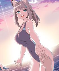 Rule 34 | 1other, 2girls, absurdres, animal ear fluff, animal ears, aqua (lostvap), black one-piece swimsuit, blue archive, blue eyes, breasts, competition swimsuit, covered navel, cowboy shot, cross hair ornament, disembodied hand, extra ears, grey hair, hair ornament, halo, highres, horizon, hoshino (blue archive), hoshino (swimsuit) (blue archive), low ponytail, medium breasts, medium hair, mismatched pupils, multicolored clothes, multicolored swimsuit, multiple girls, ocean, one-piece swimsuit, outdoors, pov, shiroko (blue archive), shiroko (swimsuit) (blue archive), solo focus, sun, sunset, swimsuit, upper body, water