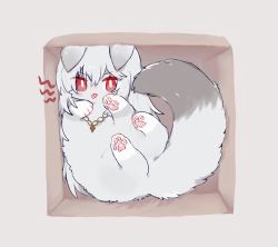 Rule 34 | 1girl, ahoge, animal, animal focus, animalization, arknights, box, cardboard box, cat, fluffy, grey background, grey fur, in box, in container, jewelry, lying, necklace, no humans, on back, simple background, sitting, smile, solo, specter (arknights), symbol-only commentary, tongue, tongue out, zhu mianzi