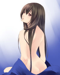 Rule 34 | 1boy, ass, bad id, bad pixiv id, brown eyes, brown hair, butt crack, fuuchouin kazuki, getbackers, highres, lips, long hair, looking back, male focus, nude, papillon10, sketch, solo, trap, very long hair