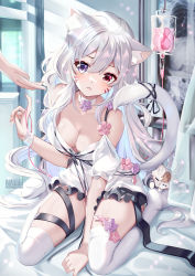 Rule 34 | 1girl, :&lt;, animal ears, bare shoulders, breasts, cat, cat ears, cat tail, cleavage, commentary request, dress, facial mark, hair between eyes, heterochromia, highres, indoors, long hair, looking at viewer, medium breasts, microdress, nail polish, no shoes, pink nails, purple eyes, red eyes, shyrei faolan, silver hair, sitting, solo focus, squchan, tail, thigh strap, thighhighs, thighs, very long hair, vguyen, virtual youtuber, wariza, whisker markings, white dress, white thighhighs