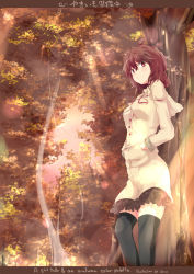 Rule 34 | 1girl, absurdres, against tree, ahoge, aruu (memories), autumn, bad id, bad pixiv id, black thighhighs, breasts, brown eyes, brown hair, dress, female focus, forest, hands in pockets, highres, light rays, nature, original, outdoors, plant, short hair, sky, solo, sunbeam, sunlight, thighhighs, tree, zettai ryouiki