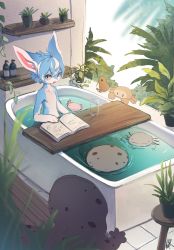 Rule 34 | 1girl, animal ears, axolotl, bath, bathing, bathtub, bird, blue eyes, blue hair, book, crab, cup, drinking glass, flat chest, furry, furry female, giant salamander, gloves, highres, indoors, kiwi (bird), looking at viewer, multicolored hair, open book, original, partially fingerless gloves, plant, potted plant, rady-wolf, salamander, short sleeves, solo, two-tone hair, white hair