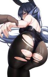 Rule 34 | 1boy, 1girl, absurdres, animal ears, ass, azur lane, bare arms, bare shoulders, black leotard, black pantyhose, blue hair, blush, dark skin, fake animal ears, from behind, grey nails, highres, holding another&#039;s wrist, huge filesize, kuse (0201), leotard, long hair, looking at viewer, looking back, nail polish, new jersey (azur lane), new jersey (exhilarating steps!) (azur lane), official alternate costume, pantyhose, playboy bunny, pov, purple eyes, rabbit ears, simple background, solo focus, thighs, torn clothes, torn legwear, white background
