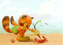 Rule 34 | 2girls, animal ears, beach, blaze the cat, blue eyes, blue sky, branch, crab, fire, highres, holding, holding branch, johnny (sonic), knockabiller, marine the raccoon, multiple girls, poking, raccoon ears, raccoon tail, scallop, sky, sonic (series), sonic rush adventure, squatting, tail