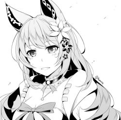 Rule 34 | 1girl, animal ears, artist name, blush, bow, breasts, cleavage, commentary, commission, english commentary, euphemia chevalier, flower, fox ears, fox girl, greyscale, hair flower, hair ornament, indie virtual youtuber, jacket, long hair, looking at viewer, masabodo, medium breasts, monochrome, parted lips, solo, virtual youtuber, white background