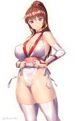 Rule 34 | 1girl, breasts, brown hair, cleavage, clothes lift, cowboy shot, dead or alive, elbow gloves, frown, gloves, halterneck, kasumi (doa), large breasts, leotard, lifting own clothes, long hair, looking at viewer, nagase haruhito, ninja, no bra, pelvic curtain, pelvic curtain lift, ponytail, scowl, simple background, standing, thighhighs, thighs, v-shaped eyebrows, white background, white thighhighs