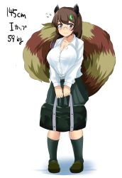 Rule 34 | 1girl, :3, alternate costume, animal ears, bag, blush, breasts, brown eyes, brown footwear, brown hair, cleavage, collared shirt, contemporary, dress shirt, flying sweatdrops, full body, futatsuiwa mamizou, glasses, green socks, green skirt, hair ornament, highres, hitotsuki nebura, holding, holding bag, kneehighs, large breasts, leaf hair ornament, long sleeves, looking at viewer, pince-nez, pleated skirt, raccoon ears, raccoon tail, school bag, school uniform, shirt, shoes, simple background, skirt, smile, socks, solo, standing, tail, touhou, white background, white shirt